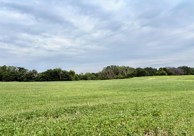 Photo 1 of Sale Pending at Tbd (l13b2) County Rd 5 Nw, Isanti, MN 55040 | MLS# 7109443 | Listing updated on 2026-09-21