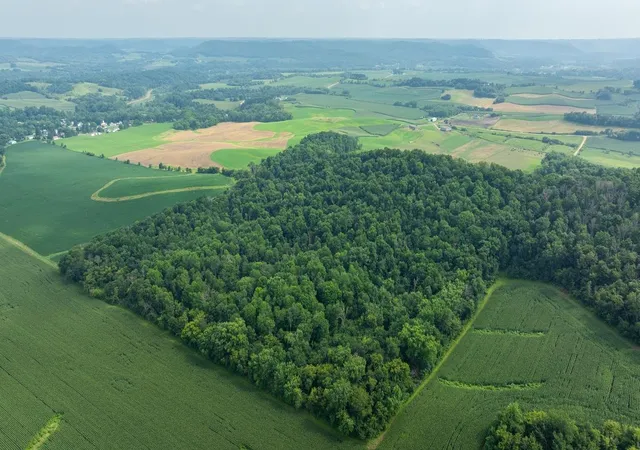 Photo 1 of Land for sale at 0 County Rd J, Mondovi, WI 54755 | MLS# 7109489 | Listing updated on 2026-07-15