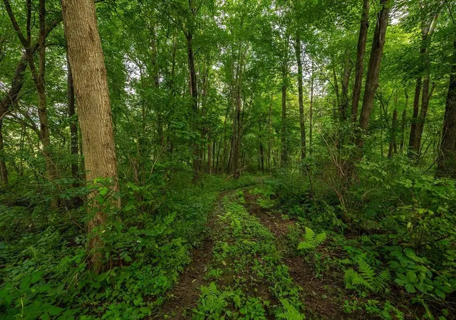 Photo 3 of Land for sale at 0 County Rd J, Mondovi, WI 54755 | MLS# 7109489 | Listing updated on 2026-07-15