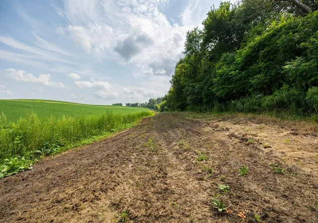 Photo 4 of Land for sale at 0 County Rd J, Mondovi, WI 54755 | MLS# 7109489 | Listing updated on 2026-07-15