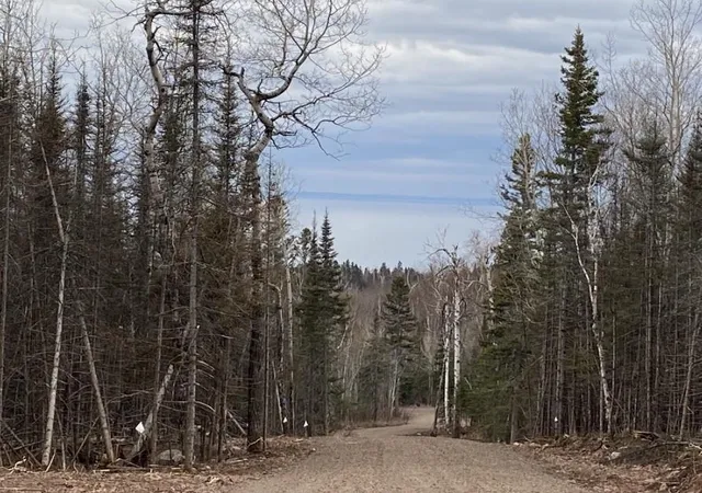 Photo 2 of Land for sale at 000 Aspen Ln, Silver Bay, MN 55614 | MLS# 7109545 | Listing updated on 2026-07-15