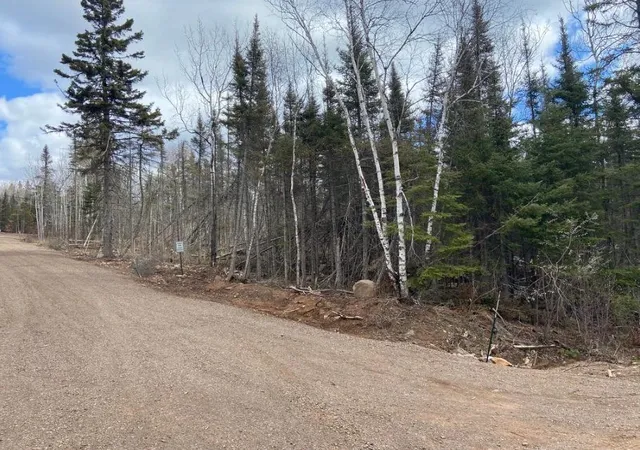 Photo 3 of Land for sale at 000 Aspen Ln, Silver Bay, MN 55614 | MLS# 7109545 | Listing updated on 2026-07-15