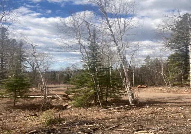 Photo 3 of Land for sale at 000 Aspen Ln, Silver Bay, MN 55614 | MLS# 7109545 | Listing updated on 2026-07-15