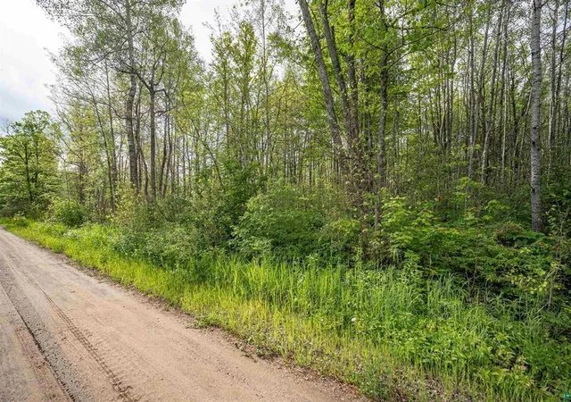 14th image of Tbd Xxx Digs Dr, Wright, MN 55798 | MLS# 7109991