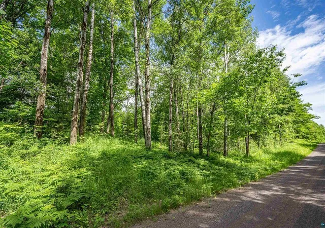 12th image of 1xxx Bent Trout Lake Rd, Barnum, MN 55707 | MLS# 7110019