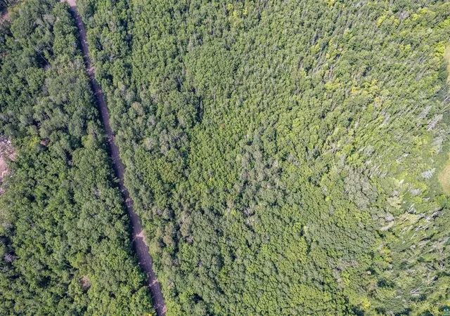 5th image of 1Xxx Bent Trout Lake Rd, Barnum, MN 55707 | MLS# 7110019