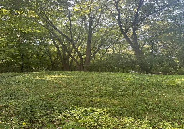 Photo 4 of Land for sale at 14698 190th Avenue NW, Elk River, MN 55330 | MLS# 7110027 | Listing updated on 2026-09-12