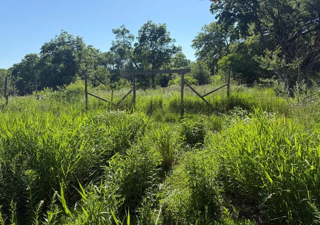 Photo 3 of Land for sale at 130 10th Avenue Nw, Glenwood, MN 56334 | MLS# 7110408 | Listing updated on 2026-09-08