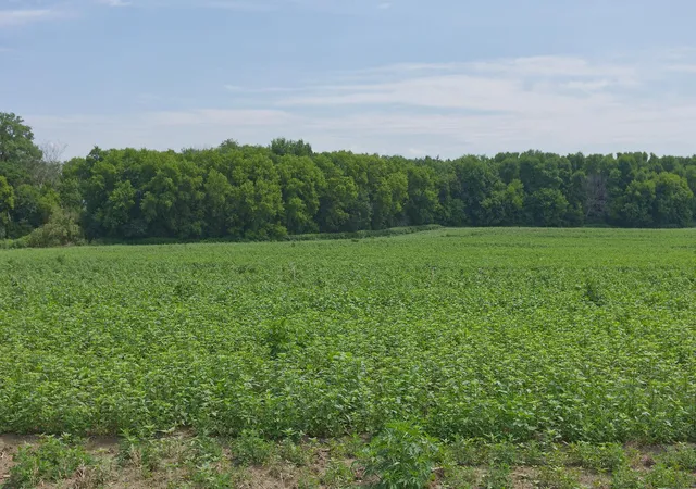 Photo 3 of Land for sale at Tbd Ingram Ave Sw, Howard Lake, MN 55349 | MLS# 7110482 | Listing updated on 2026-08-29
