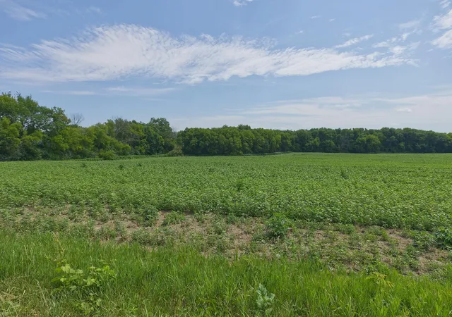 Photo 3 of Land for sale at Tbd Ingram Ave SW, Howard Lake, MN 55349 | MLS# 7110482 | Listing updated on 2026-08-29