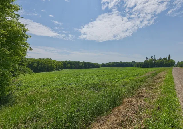Photo 4 of Land for sale at Tbd Ingram Ave SW, Howard Lake, MN 55349 | MLS# 7110482 | Listing updated on 2026-08-29