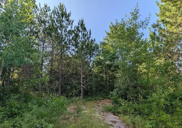 Photo 3 of Land for sale at 7952 Highway 24, Orr, MN 55771 | MLS# 7110540 | Listing updated on 2026-08-21