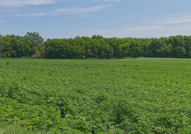 Photo 3 of Land for sale at Tbd2 Ingram Ave Sw, Howard Lake, MN 55349 | MLS# 7110557 | Listing updated on 2026-08-29