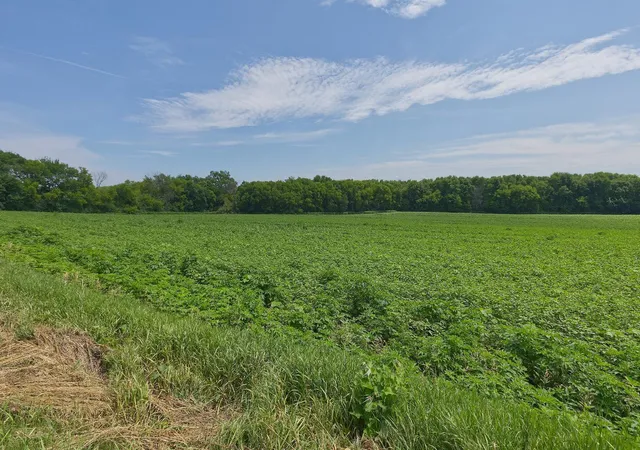 Photo 3 of Land for sale at Tbd2 Ingram Ave SW, Howard Lake, MN 55349 | MLS# 7110557 | Listing updated on 2026-08-29