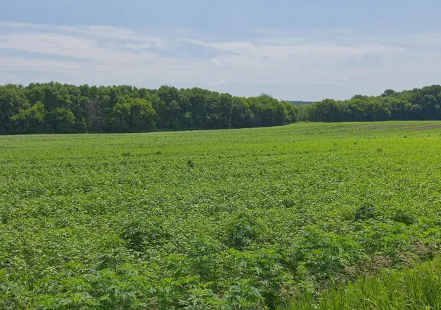 Photo 4 of Land for sale at Tbd2 Ingram Ave SW, Howard Lake, MN 55349 | MLS# 7110557 | Listing updated on 2026-08-29