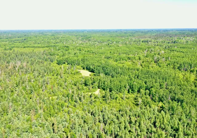 2nd image of 2359 County Road 8, Holyoke, MN 55749 | MLS# 7110564