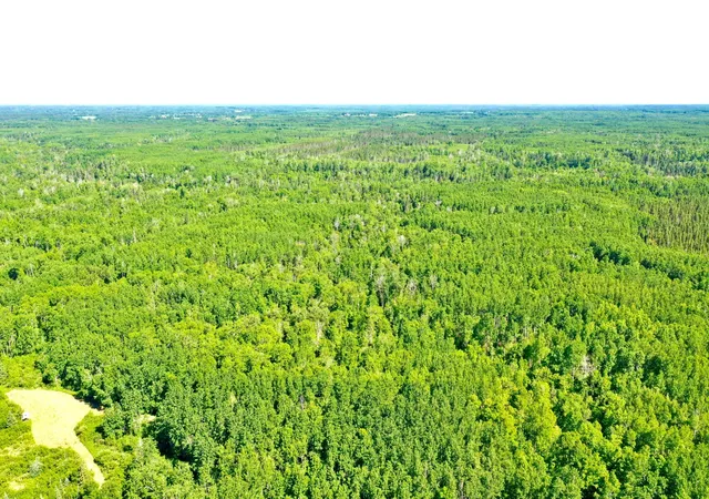 4th image of 2359 County Road 8, Holyoke, MN 55749 | MLS# 7110564
