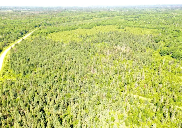 5th image of 2359 County Road 8, Holyoke, MN 55749 | MLS# 7110564