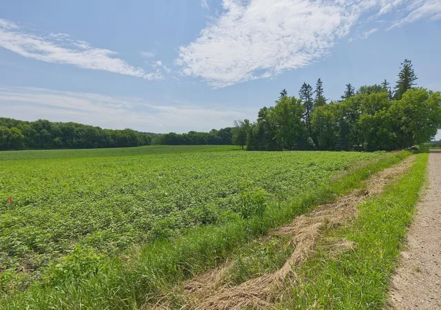 Photo 3 of Land for sale at Tbd3 Ingram Ave Sw, Howard Lake, MN 55349 | MLS# 7110573 | Listing updated on 2026-08-28