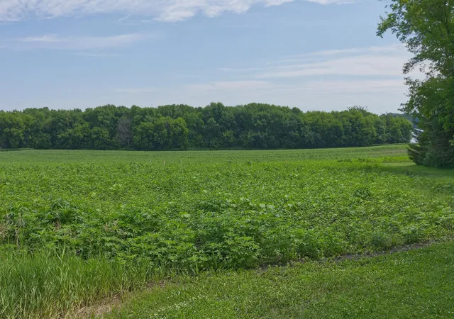 Photo 3 of Land for sale at Tbd3 Ingram Ave SW, Howard Lake, MN 55349 | MLS# 7110573 | Listing updated on 2026-08-28