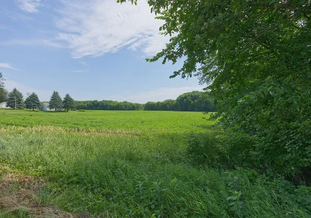 Photo 3 of Land for sale at Tbd5 Ingram Ave SW, Howard Lake, MN 55349 | MLS# 7110575 | Listing updated on 2026-08-29