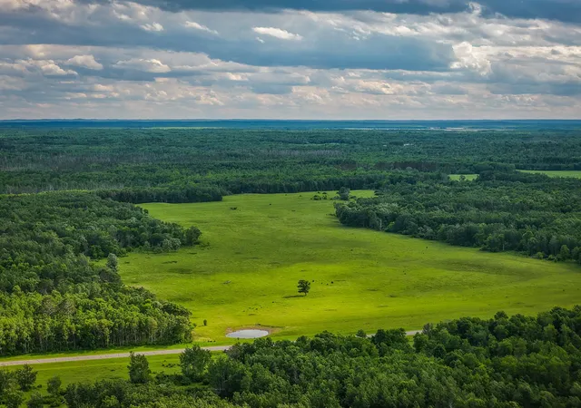 Land for sale at 320th, Shevlin, MN 56676 | MLS# 7110668