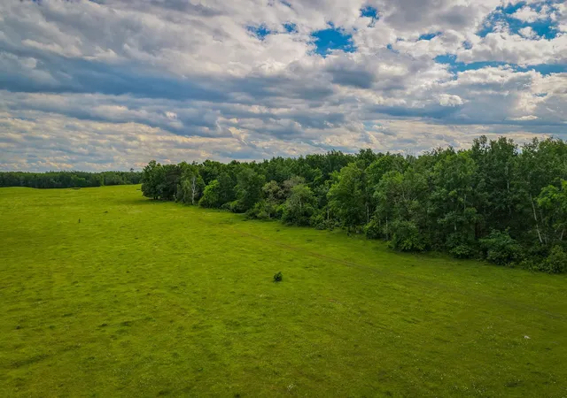 Photo 2 of Land for sale at 320th, Shevlin, MN 56676 | MLS# 7110668 | Listing updated on 2026-07-18