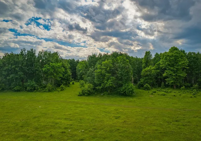 Photo 3 of Land for sale at 320th, Shevlin, MN 56676 | MLS# 7110668 | Listing updated on 2026-07-18
