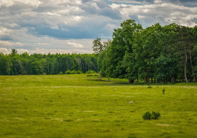 Photo 4 of Land for sale at 320th, Shevlin, MN 56676 | MLS# 7110668 | Listing updated on 2026-07-18