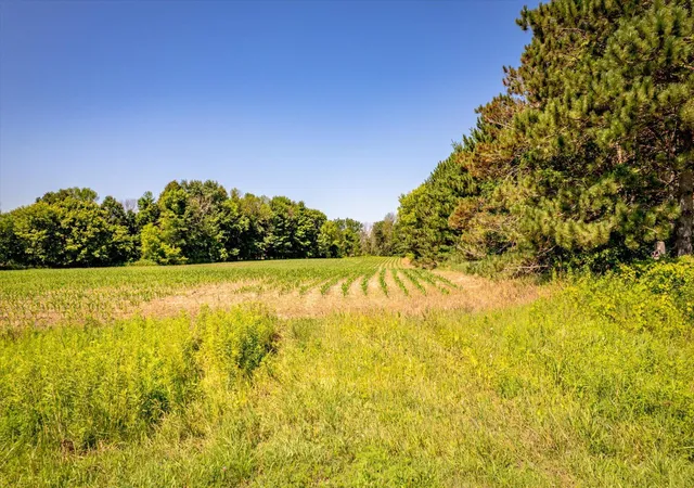 Photo 2 of Land for sale at Xxx Sugarbush Rd, Elk River, MN 55330 | MLS# 7110846 | Listing updated on 2026-08-23