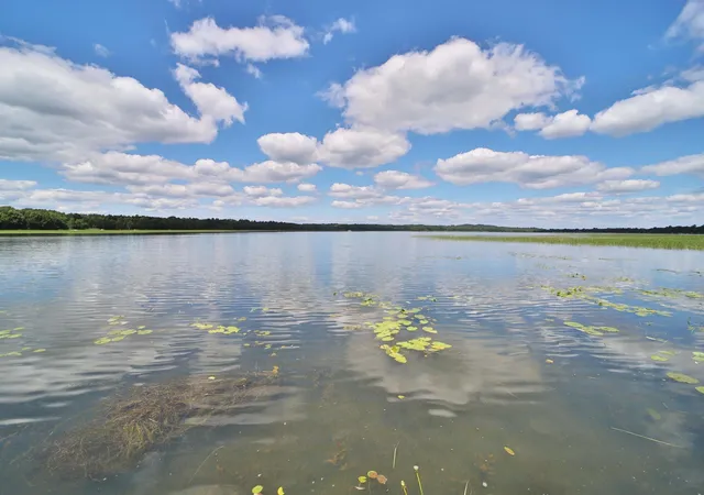 22nd image of 1088 W Big Portage Lake Dr Nw, Backus, MN 56435 | MLS# 7110955