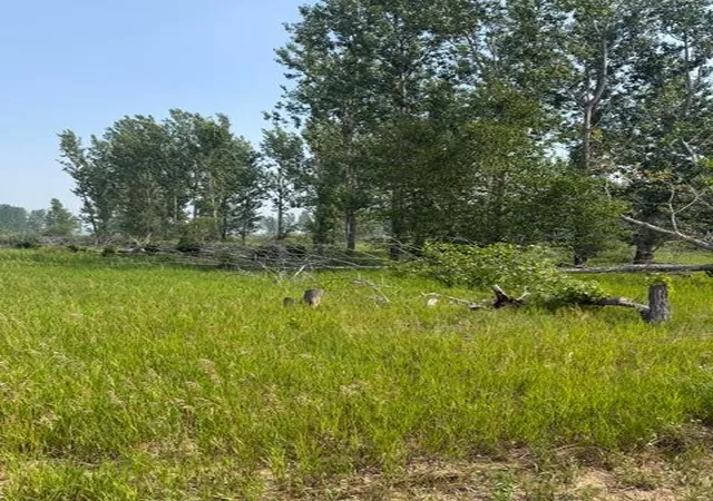 Photo 3 of Land for sale at Xxx County Rd 26, Verndale, MN 56481 | MLS# 7111003 | Listing updated on 2026-07-17