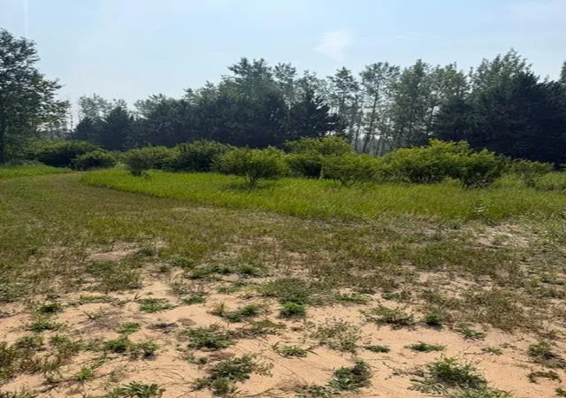 Photo 3 of Land for sale at Xxx County Rd 26, Verndale, MN 56481 | MLS# 7111003 | Listing updated on 2026-07-17