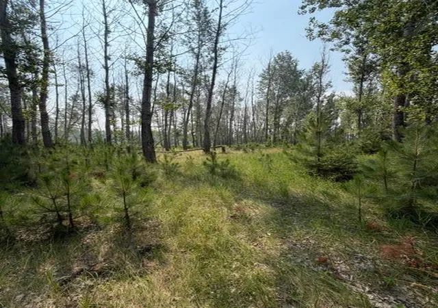 Photo 4 of Land for sale at Xxx County Rd 26, Verndale, MN 56481 | MLS# 7111003 | Listing updated on 2026-07-17