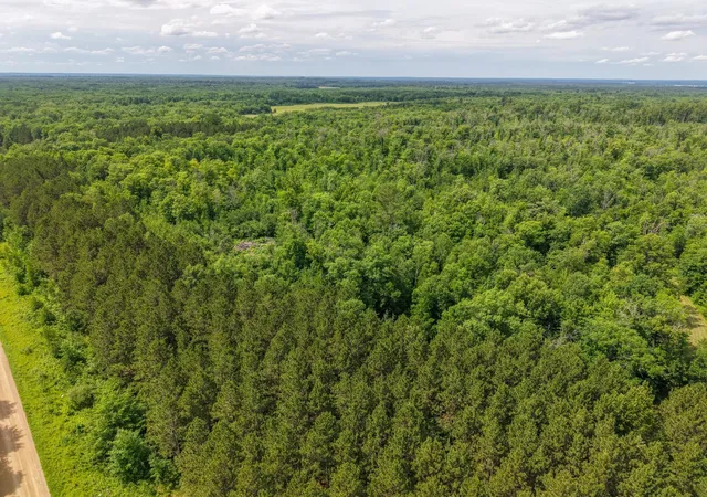 Photo 3 of Land for sale at 80 Acres Pike Bay Loop Rd Nw, Cass Lake, MN 56633 | MLS# 7111015 | Listing updated on 2026-07-17