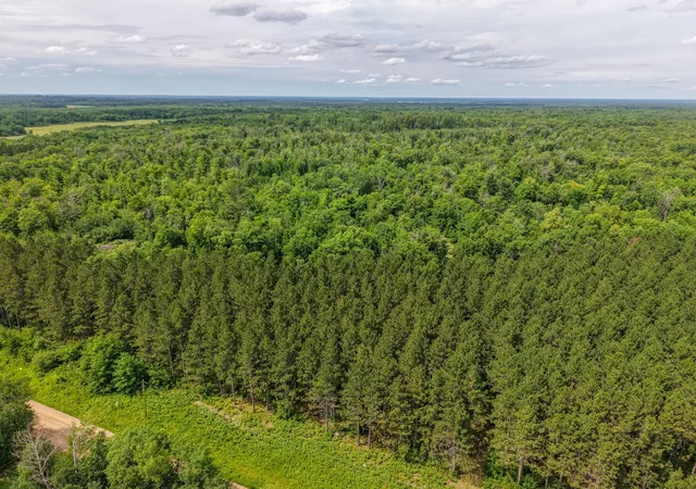 Photo 3 of Land for sale at 80 Acres Pike Bay Loop Rd NW, Cass Lake, MN 56633 | MLS# 7111015 | Listing updated on 2026-07-17