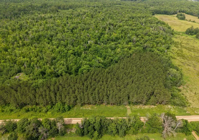 Photo 4 of Land for sale at 80 Acres Pike Bay Loop Rd NW, Cass Lake, MN 56633 | MLS# 7111015 | Listing updated on 2026-07-17