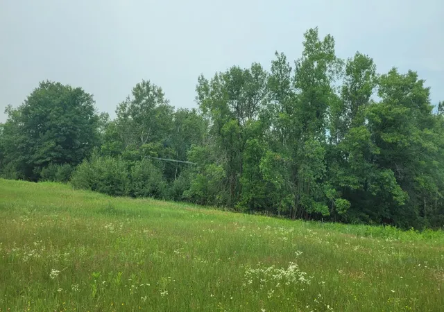 2nd image of 1560 8th St Ne, Pine River, MN 56474 | MLS# 7111033