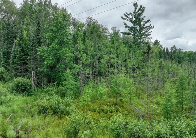 13th image of 4e Twin Lake Road, Hayward, WI 54843 | MLS# 7111091