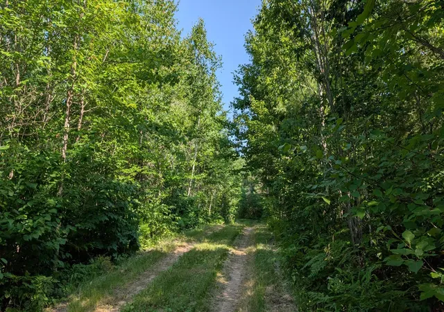 Photo 3 of Land for sale at Tbd Highway 24, Orr, MN 55771 | MLS# 7111152 | Listing updated on 2026-07-16