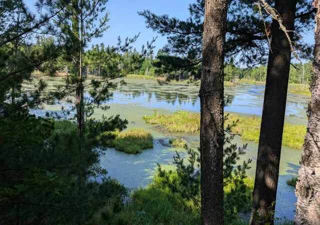 Photo 4 of Land for sale at Tbd Highway 24, Orr, MN 55771 | MLS# 7111152 | Listing updated on 2026-07-16
