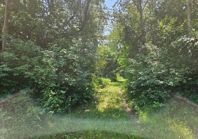 Photo 2 of Land for sale at 11752 220th Street Se, Red Lake Falls, MN 56750 | MLS# 7111199 | Listing updated on 2026-07-16