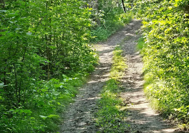 Photo 3 of Land for sale at 11752 220th Street Se, Red Lake Falls, MN 56750 | MLS# 7111199 | Listing updated on 2026-07-16