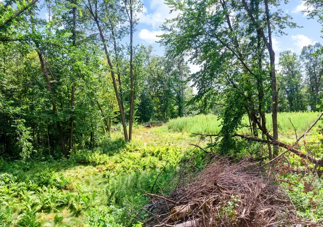 Photo 3 of Land for sale at 1850 Klondike Dr Ne, Cedar, MN 55011 | MLS# 7111371 | Listing updated on 2026-08-20