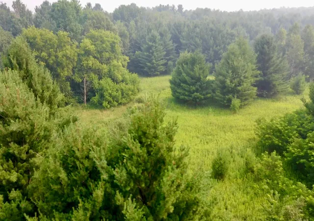 4th image of 1256 Rice St, Braham, MN 55006 | MLS# 7111475