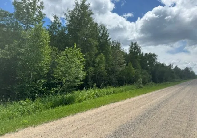 Photo 2 of Land for sale at 36502 County Rd 129, Deer River, MN 56636 | MLS# 7111533 | Listing updated on 2026-08-04