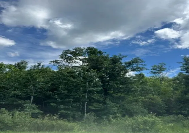 Photo 3 of Land for sale at 36502 County Rd 129, Deer River, MN 56636 | MLS# 7111533 | Listing updated on 2026-08-04