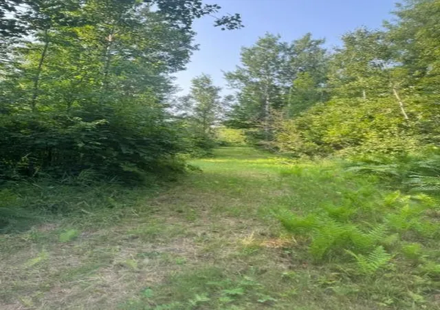 Photo 3 of Land for sale at 36502 County Rd 129, Deer River, MN 56636 | MLS# 7111533 | Listing updated on 2026-08-04