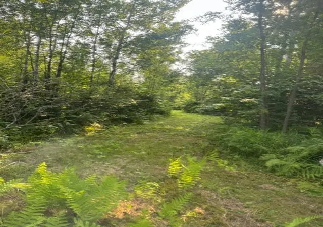 Photo 4 of Land for sale at 36502 County Rd 129, Deer River, MN 56636 | MLS# 7111533 | Listing updated on 2026-08-04
