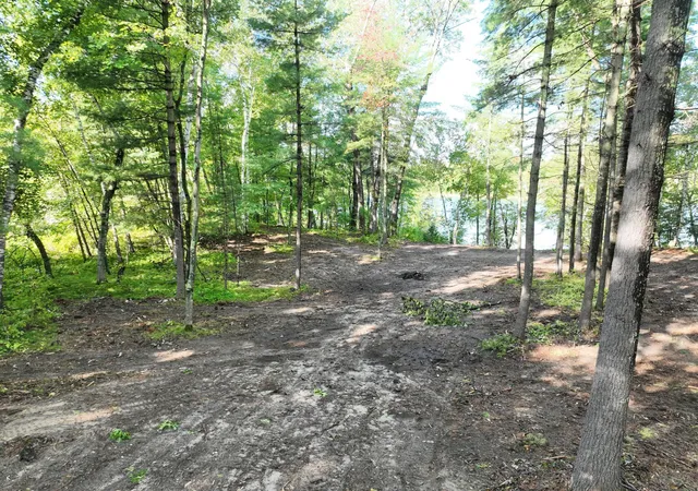 Photo 3 of Land for sale at Tbd Long Lake Rd NW, Akeley, MN 56433 | MLS# 7111541 | Listing updated on 2026-09-22